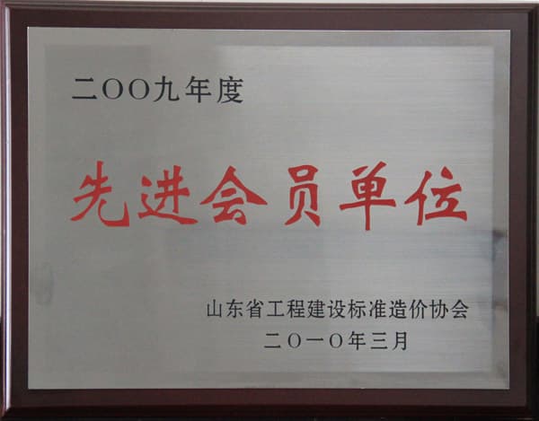 2009年度山东造价协会先进会员