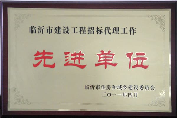 2010年度工程招标先进