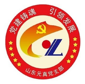 山东元真建设项目管理有限公司党建工作简报